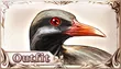 Island Rail (Diantha)