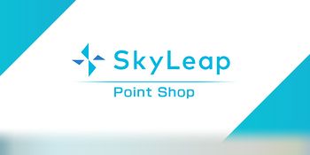 Skyleap point header.jpg