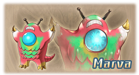 Marva