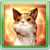 Ability Cat.png
