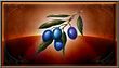 Indigo Fruit icon.jpg