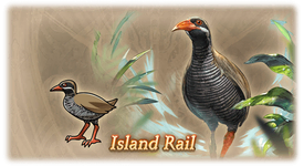 Island Rail