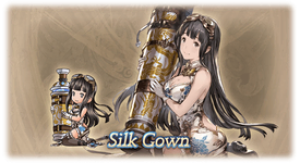 Silk Gown