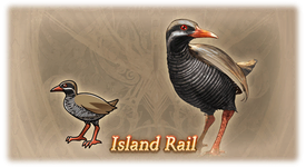 Island Rail