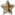Icon Yellow Star.png