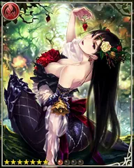 Christmas Rose Queen [Evening Rose]
