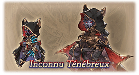 Inconnu Ténébreux