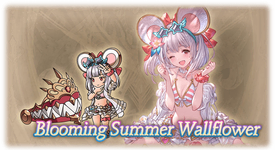 Blooming Summer Wallflower